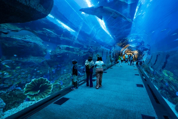 Dubai Aquarium